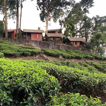 Holacasa Cottages Munnar Eksteriør billede