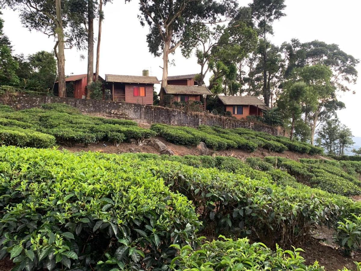 Holacasa Cottages Munnar Eksteriør billede