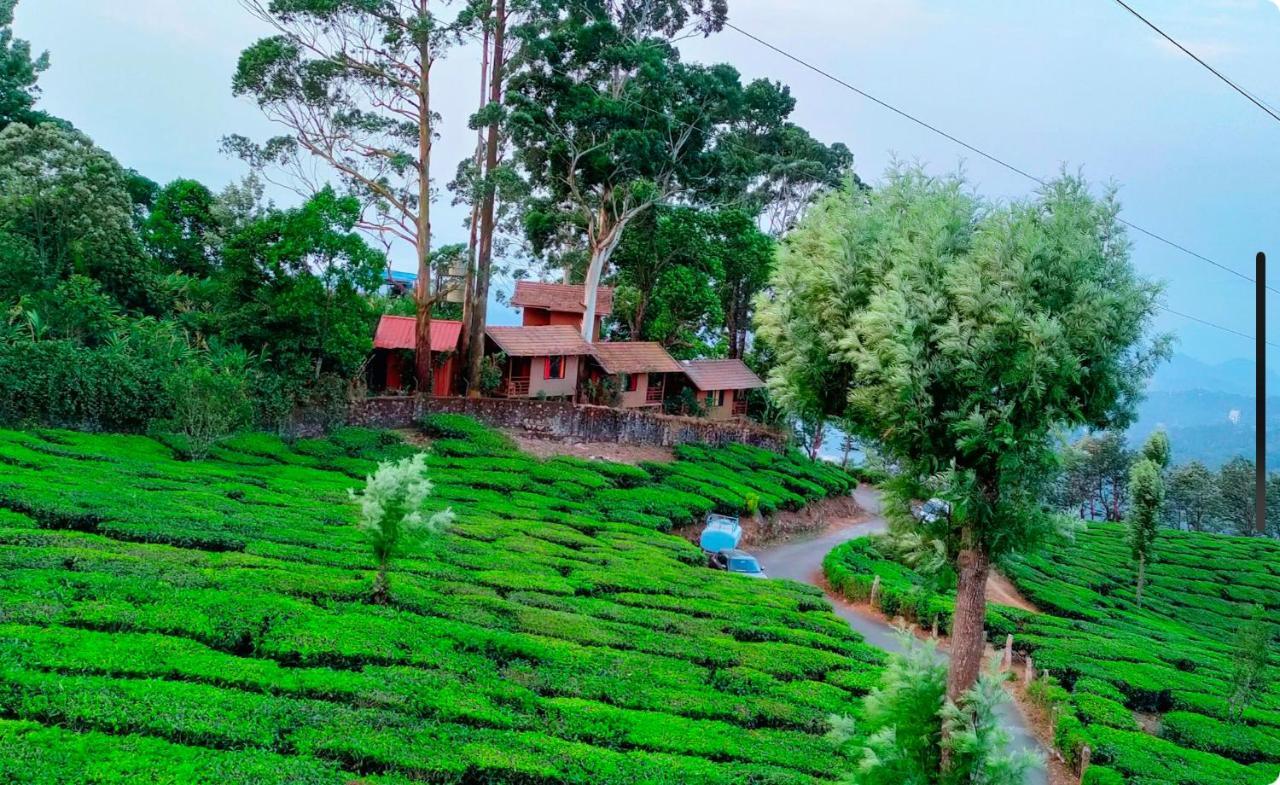 Holacasa Cottages Munnar Eksteriør billede